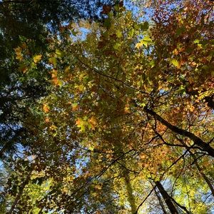 Meet your Posher, Raquel